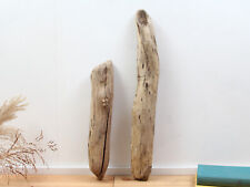 Treibholz 63cm dicke gebraucht kaufen  Bad Schandau