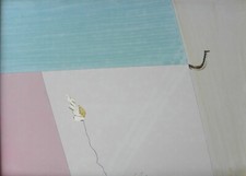 Sergio dangelo raggio usato  Casteggio