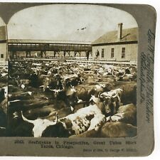 Cattle corrals meatpacking for sale  Portland