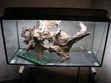 aquarium 100x40x50 gebraucht kaufen aquarium 100x40x50 gebraucht kaufen Möhnesee