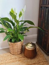 Antique oak ceramic for sale  OXFORD