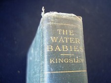 Charles kingsley the usato  Torino