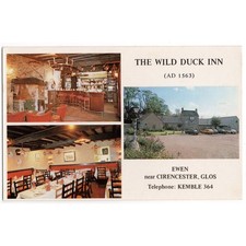 Ewen gloucestershire wild for sale  GLASGOW
