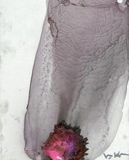 Val Kilmer Original Signed “Abstract Print #4” Series #6 for sale  Jacksonville