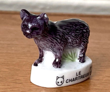 Fève chartreux cat d'occasion  Expédié en Belgium
