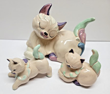 Kay finch cat for sale  Oxford