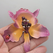 Joan rivers orchid for sale  Sully