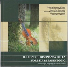 Legno risonanza della usato  Italia