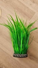 60 litre fish tank for sale 60 litre fish tank for sale BARROW-IN-FURNESS