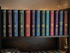 Wardstone chronicles complete for sale  ENNISKILLEN