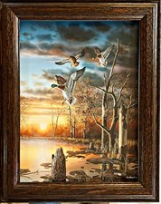 Evening splendor jim for sale  Annandale