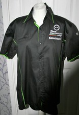 Team pedercini kawasaki for sale  ST. NEOTS