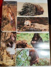 Lot cartes merveilles d'occasion  Lyon IV
