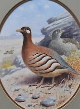 Robin reckitt original for sale  BARNSTAPLE