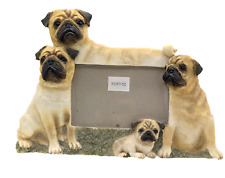 Pug dog picture for sale  Uhrichsville