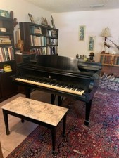 Steinway grand piano for sale  Saint Augustine