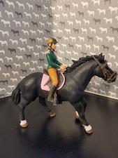 Schelich quater horse for sale  SWADLINCOTE