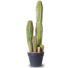 Artificial cactus fake for sale  Alhambra