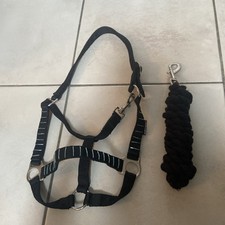 Pferde halfter gebraucht kaufen  Weißbach