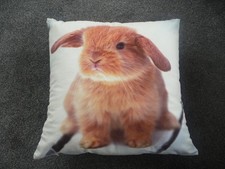 New poppy rabbit for sale  NORTHWICH