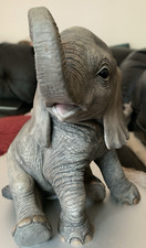 Leonardo elephant calf for sale  GLENROTHES