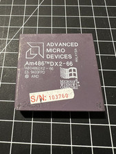 Amd 486 cpu gebraucht kaufen  Schweinfurt