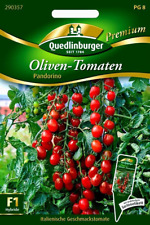 Liven tomaten pandorino gebraucht kaufen  Oschersleben (Bode)