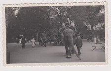 Belgium antwerp zoo d'occasion  Expédié en Belgium