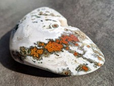Zean jaspis zeanjaspis gebraucht kaufen  Ergoldsbach