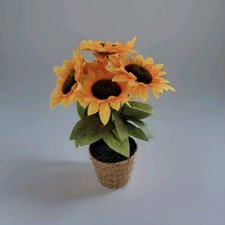 Tournesols pot tréssé d'occasion  Albi