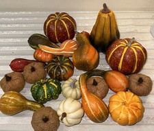 Lot fall autumn for sale  Hattiesburg