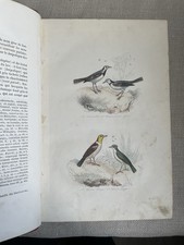 Buffon oiseaux flourens. d'occasion  Montrichard