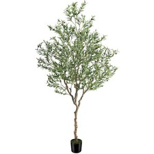 Fake olive tree for sale  Ashford