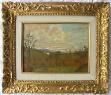 Carlo pollonera paesaggio usato  Casteggio