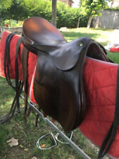 Pariani sella inglese usato  Bologna