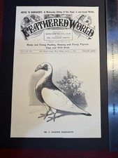 poultry magazine for sale poultry magazine for sale NORTHAMPTON