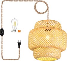 Plug pendant light for sale  Flint