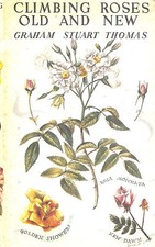 Climbing roses old for sale  DEVIZES