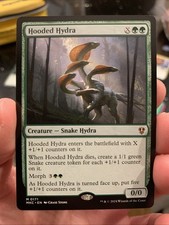 Hooded hydra mtg for sale  RUGBY