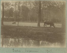 Buire tirage 1905. d'occasion  Paris XIII