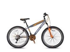 Geroni magnum mountainbike gebraucht kaufen  Großmehring