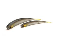 Usado, Raid Japan Super Fish Roller Hover Mid Strolling escolha tamanho e cor, Japão comprar usado  Enviando para Brazil