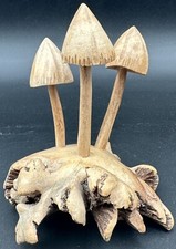 Wooden carved mushroom for sale  Florence