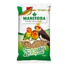 Manitoba inseparabili calopsit usato  Marano di Napoli