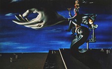Dali the hand usato  Napoli