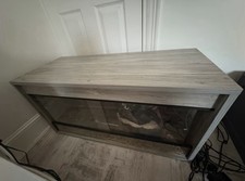 Light grey reptile for sale  GREAT YARMOUTH