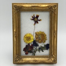 dried pressed flowers for sale dried pressed flowers for sale Louisville