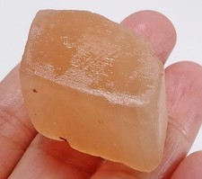 151ct natural orange for sale  Walnut