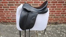 Spalding pennine dressage for sale  LEWES