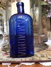 Selling beautiful ammonia for sale  SOUTHMINSTER